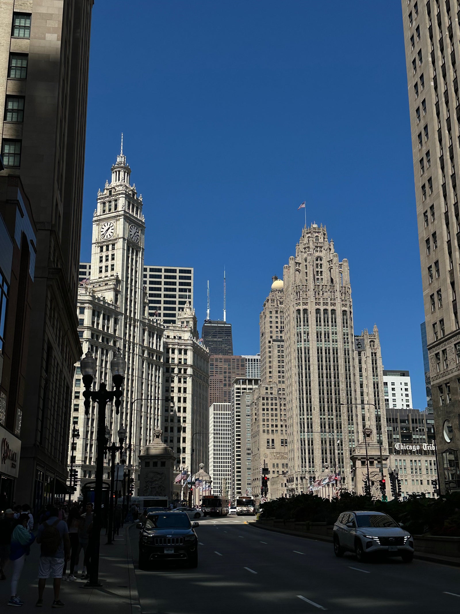 5 Best Places to Propose in Chicago