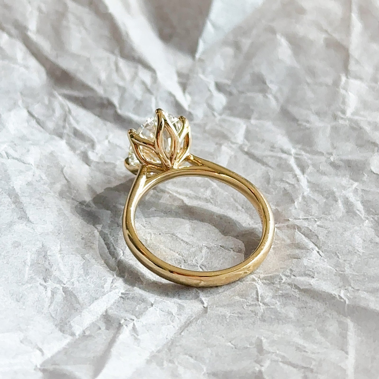Tulip Basket vs. Hidden Halo: What's the Difference?
