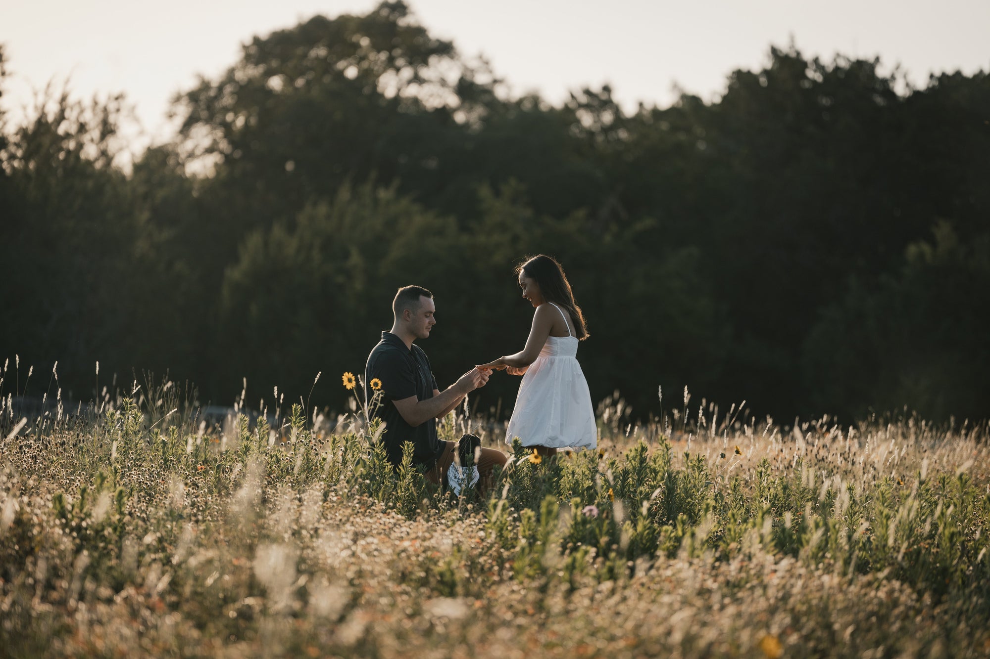 Pet-Inclusive Proposals: Creative Ways to Involve Your Dog or Cat Safely