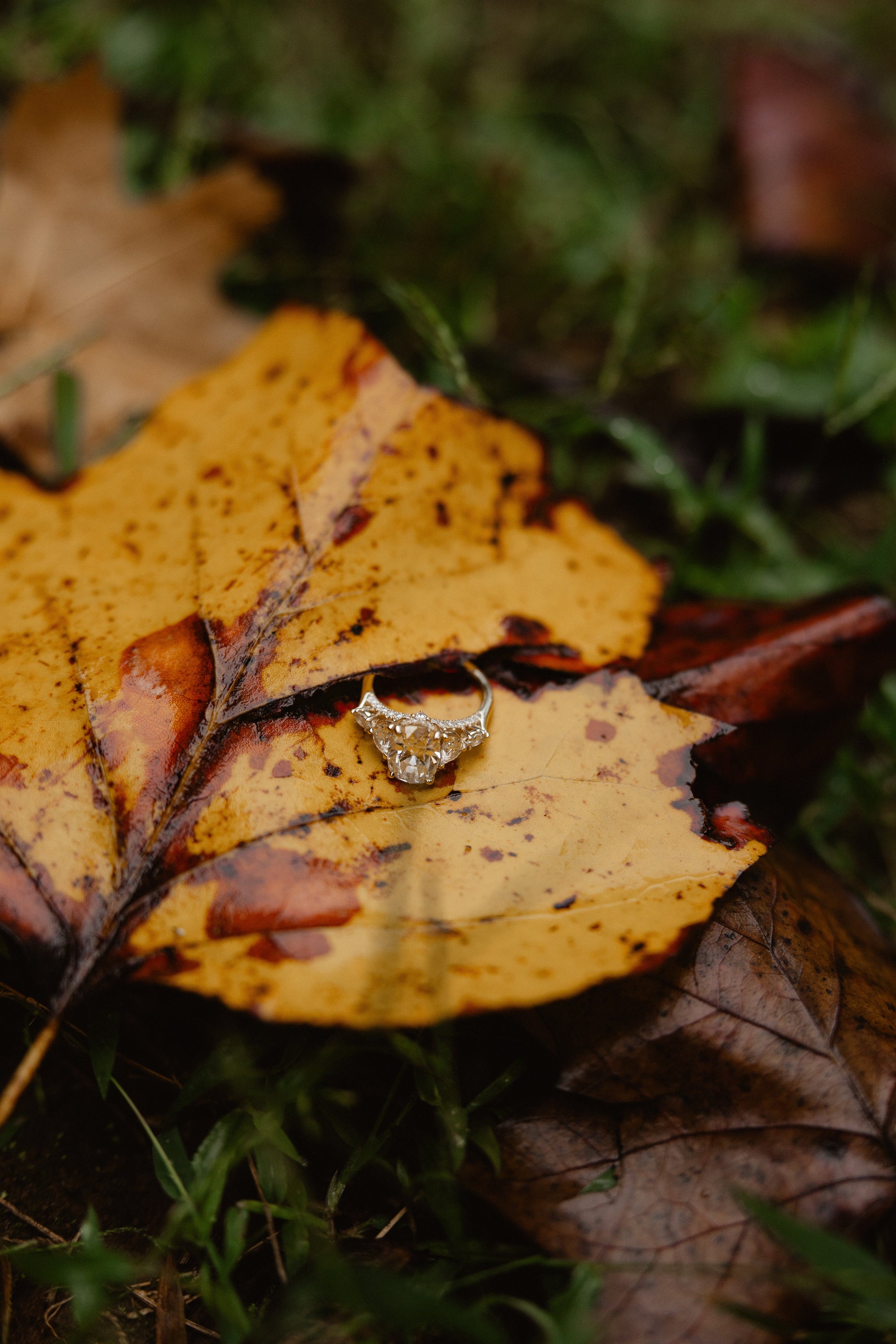 Proposal Photographer Playbook: How to Plan the Shot Without Tipping Them Off